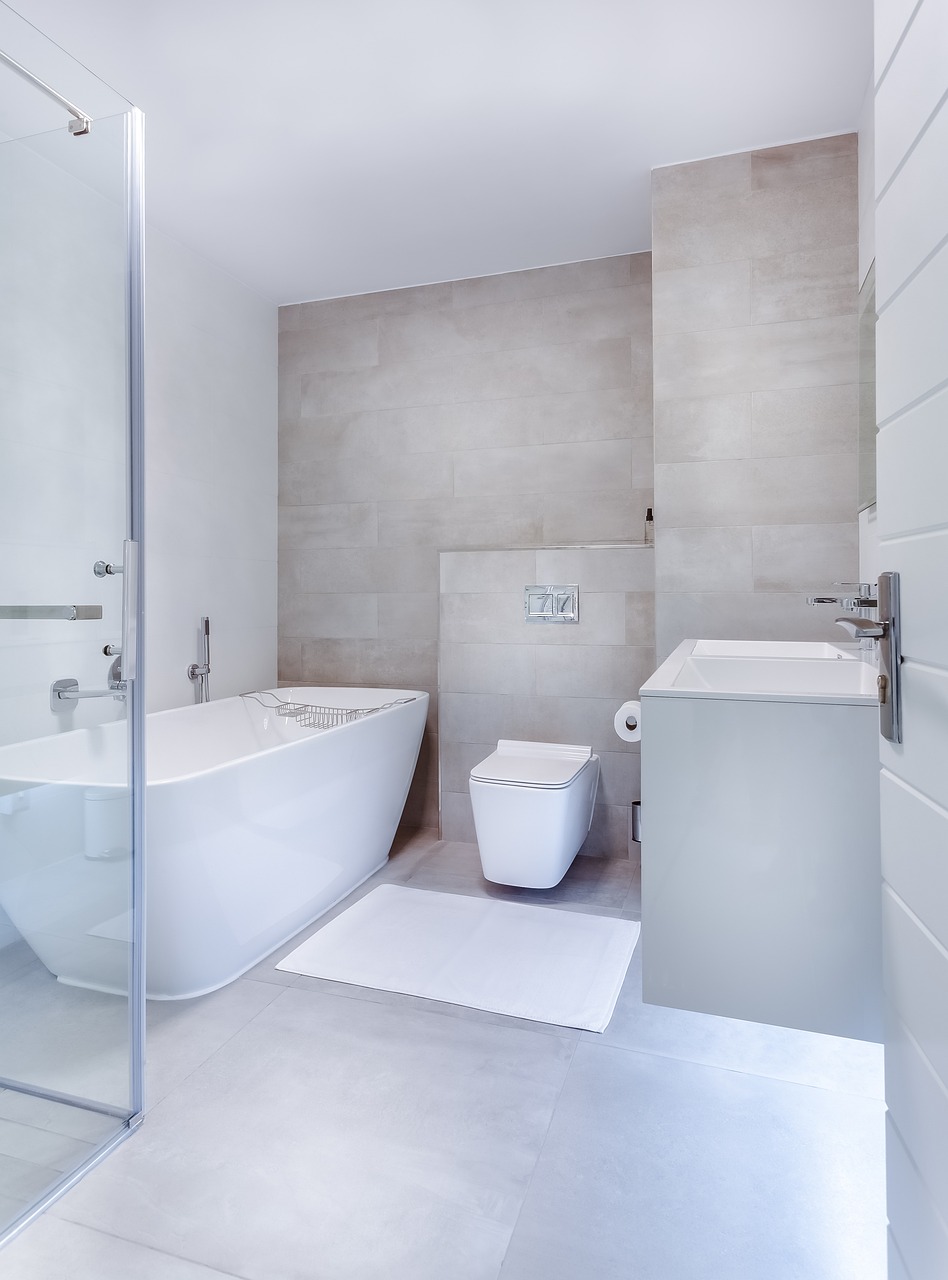 modern minimalist bathroom, interior, toilet-3150293.jpg